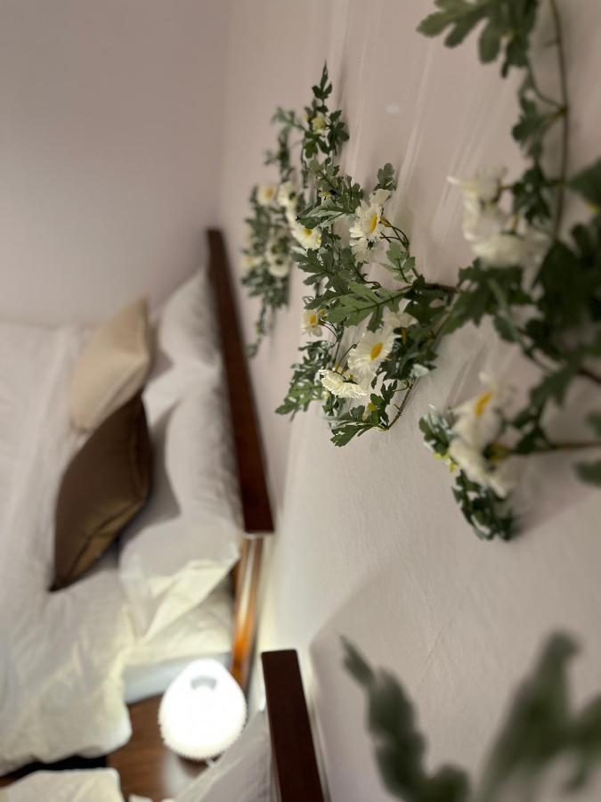 Villa Complace S